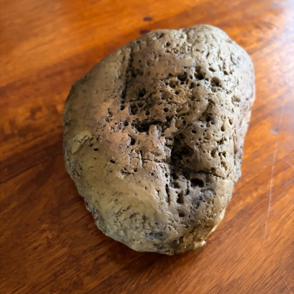 NWOP Exo Terra Canopy Cave Reptile Habitat Rock